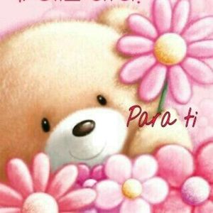 Meet your Posher, Ivette